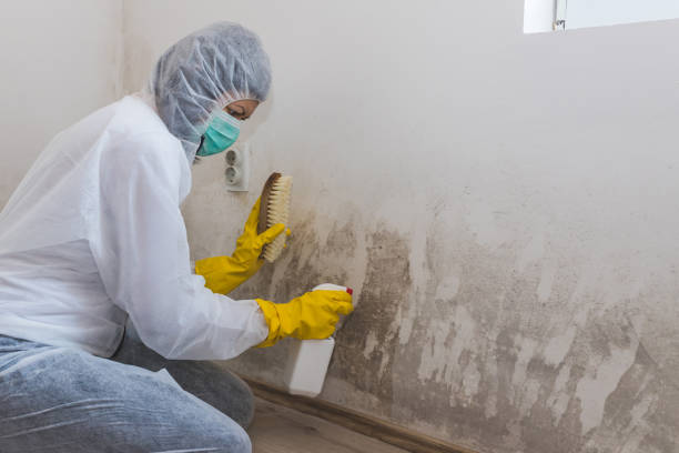 Best Mold Remediation for Healthcare Facilities  in Columbia, MS